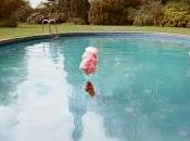 Bombay Bicycle Club Holly Humberstone estrenan Diving