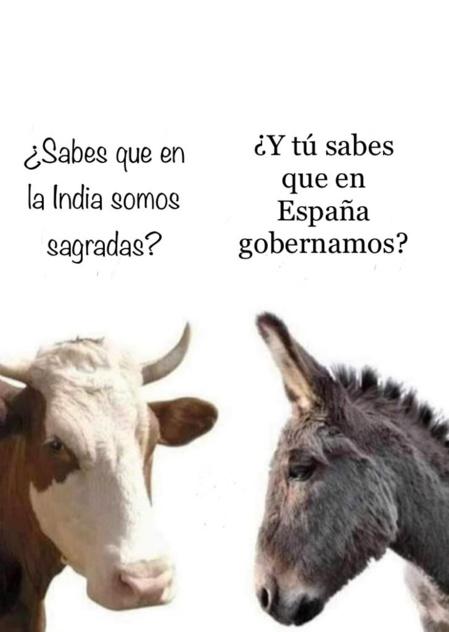 España era un país maravilloso, pero ha sido destrozado por los políticos 