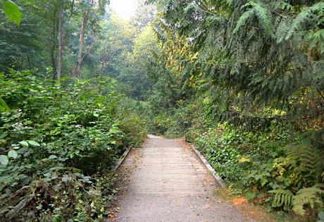 10 playas mejor valoradas en el área de Seattle Pipers Creek Trail en Carkeek Park