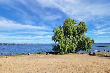 10 playas mejor valoradas en el área de Seattle Horizonte de Bellevue desde Madrona Park