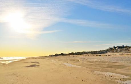 12 playas mejor valoradas en la ciudad de Nueva York y sus alrededores Playa de Cooper