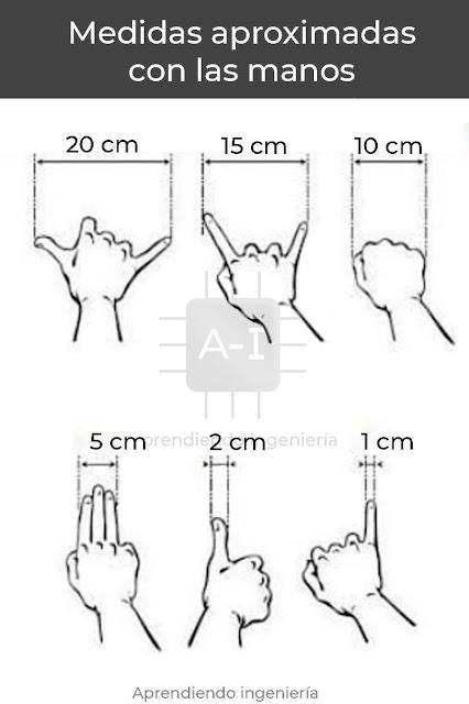 Dibujos infantiles que “ponen la piel de gallina”… Frases imperdibles de “Les Luthiers” y “El Rey Carlos”, en Wimbledon.