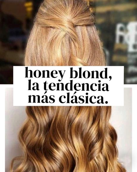Honey Blond color de pelo