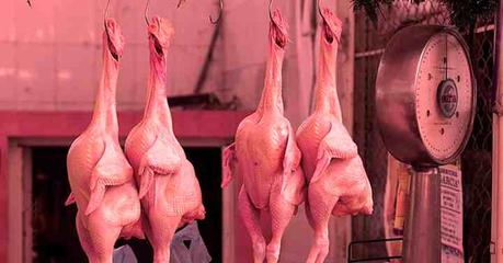 Intoxicación alimentaria en graduación de Matlapa cobra dos vidas