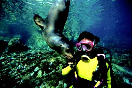 Las actividades acuáticas imperdibles en Los Cabos