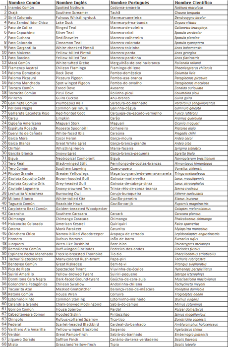 Censo Neotropical de Aves Acuáticas (julio 2023)