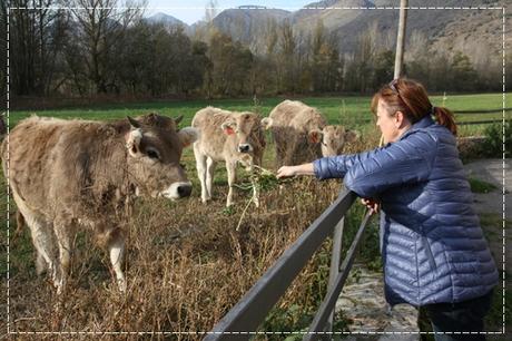 Edén en Guingueta D'aneu, Lleida