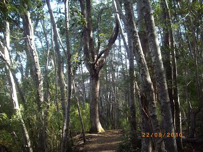 Lugares que inspiran, letras que nacen. . .