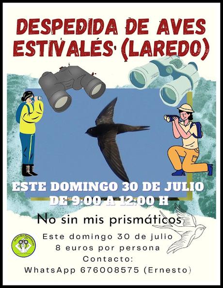 VOLANDO ESTAMOS Y VOLANDO NOS IREMOS