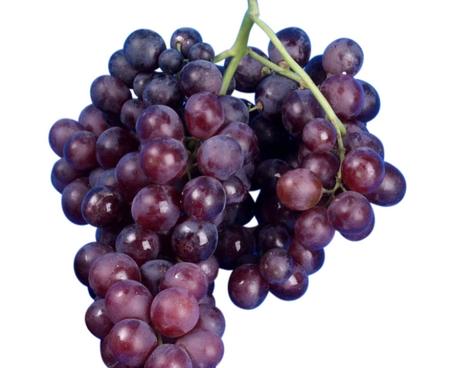 Viveros Barber: Variedades de uva de mesa sin semilla 7