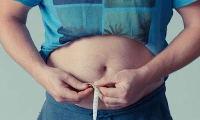 Nueva hipótesis sobre la causa de la Obesidad