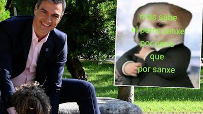 La venganza de ‘Perro’ Sánchez.