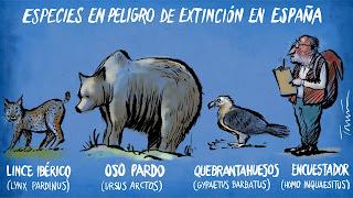 De las identidades electivas