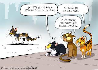 De las identidades electivas