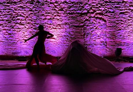 GAM: Una doncella juega con la muerte en estreno internacional doncella_1255