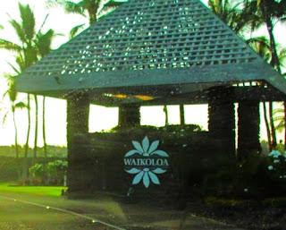 La leyenda de la flor Naupaka. Hawai