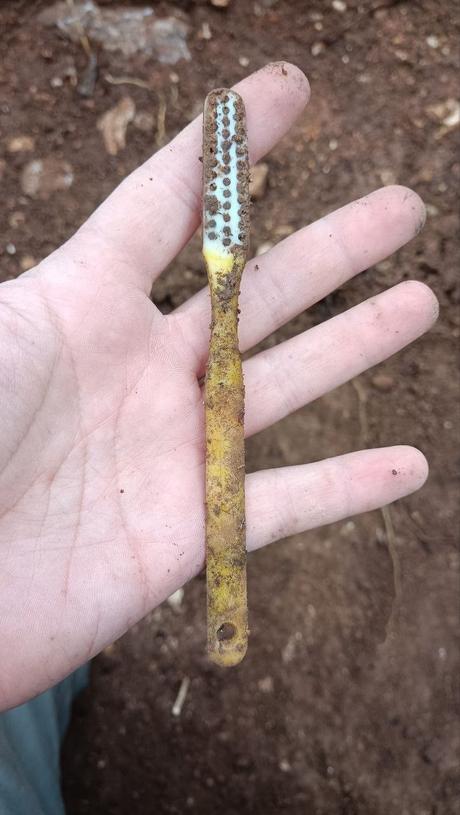 Nuevas excavaciones en el campo de concentración de Casa del Guarda (Jadraque)