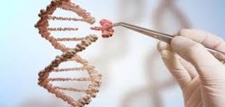 Es posible vivir para siempre? Lo que dice la ciencia sobre la inmortalidad