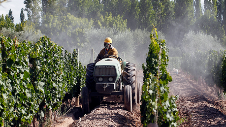 Agrotóxicos: los datos que el INTA no quiere difundir