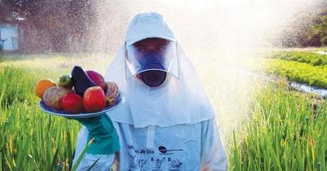 Agrotóxicos: los datos que el INTA no quiere difundir