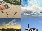 cambio climático lleva forma aterradora sexta extinción