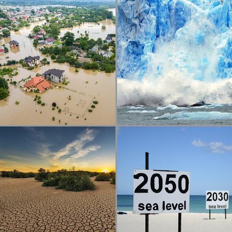 El cambio climático nos lleva de forma aterradora a la sexta extinción