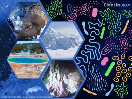 ¿Cuál es el origen de la vida según la ciencia?