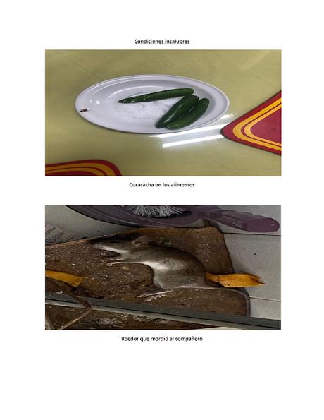 GUARDIA NACIONAL SOLICITA ATENCIÓN Y SOLUCIÓN A LAS CONDICIONES INFRAHUMANAS PARA EL PERSONAL GUARDIA NACIONAL SOLICITA ATENCIÓN Y SOLUCIÓN A LAS CONDICIONES INFRAHUMANAS PARA EL PERSONAL