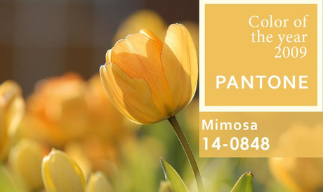 Libros según el color Pantone del año (2000-2009) versión aesthetic Libros según el color Pantone del año (2000-2009) versión aesthetic