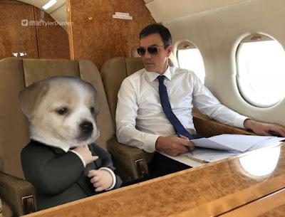 Feijóo, al contrario de Sánchez, tiene prisa para gobernar… Y Vox pide un “tamayazo”.