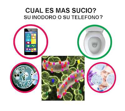 CUAL ES MAS SUCIO, SU INODORO O SU TELEFONO CELULAR?