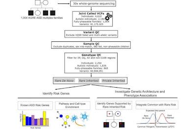 Este es el estudio mas grande sobre familias con Autismo