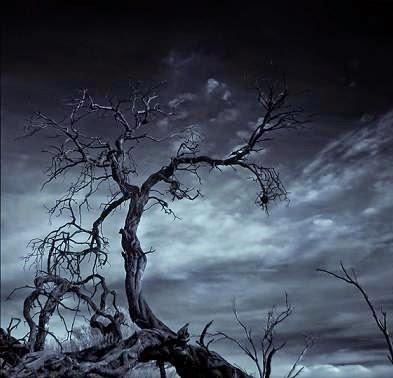 Reseña: El árbol de Howard Phillips Lovecraft