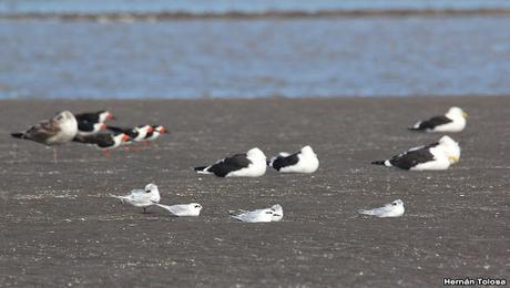 Recorrida por San Clemente del Tuyú y General Lavalle