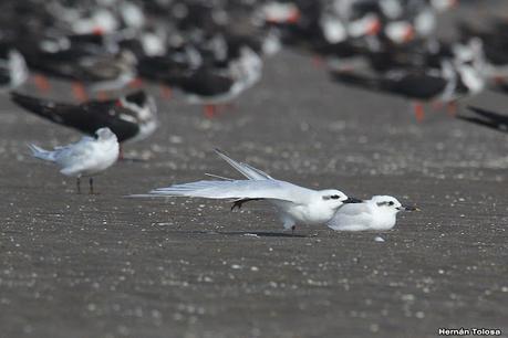 Recorrida por San Clemente del Tuyú y General Lavalle