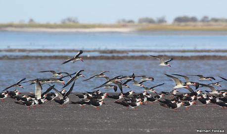 Recorrida por San Clemente del Tuyú y General Lavalle