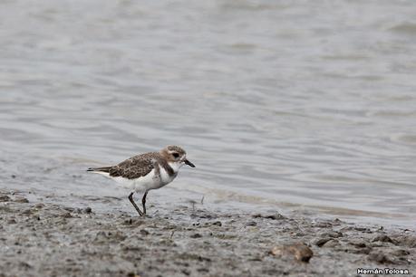 Recorrida por San Clemente del Tuyú y General Lavalle