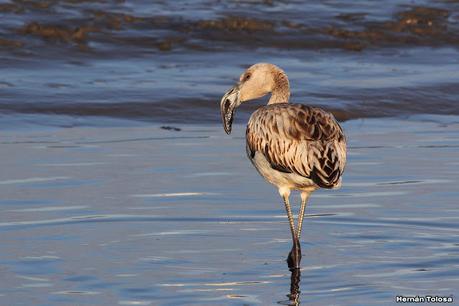 Recorrida por San Clemente del Tuyú y General Lavalle