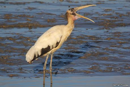Recorrida por San Clemente del Tuyú y General Lavalle