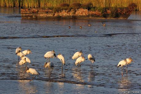 Recorrida por San Clemente del Tuyú y General Lavalle
