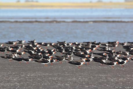 Recorrida por San Clemente del Tuyú y General Lavalle