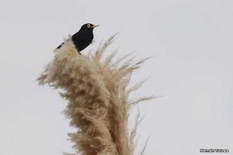 Recorrida por San Clemente del Tuyú y General Lavalle