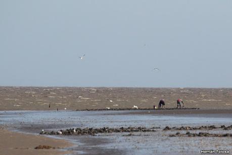 Recorrida por San Clemente del Tuyú y General Lavalle