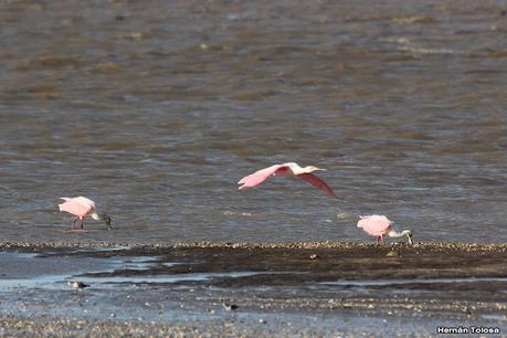 Recorrida por San Clemente del Tuyú y General Lavalle