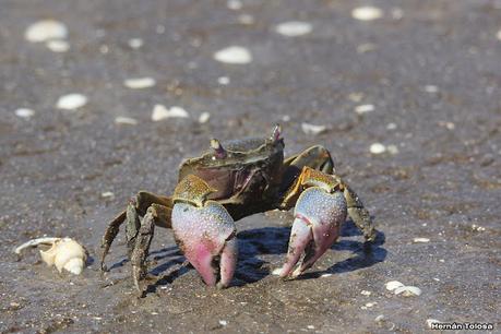 Recorrida por San Clemente del Tuyú y General Lavalle