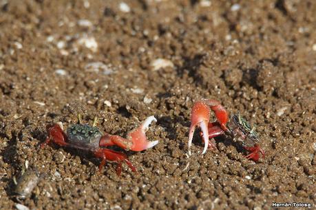 Recorrida por San Clemente del Tuyú y General Lavalle