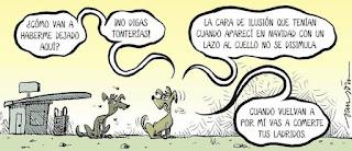 Del país de la cucaña