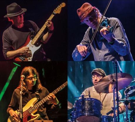 Dialeto - Live With David Cross (2018) Dialeto - Live With David Cross (2018)