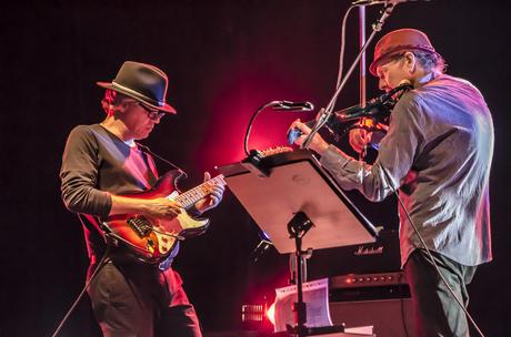 Dialeto - Live With David Cross (2018) Dialeto - Live With David Cross (2018)