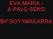 262. Peligro playa